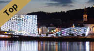 ARS ELECTRONICA FESTIVAL