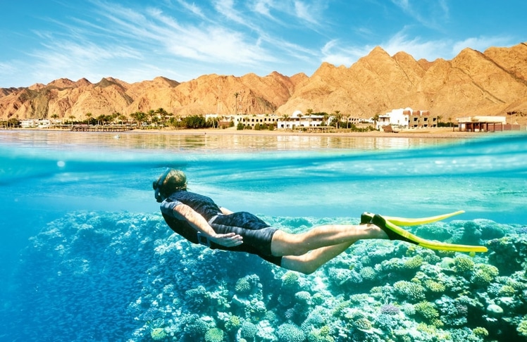 Besonders groß ist die Sehnsucht nach Sonne, Palmen und Strand