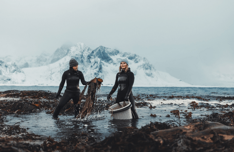 
Algenhüterinnen. Die Gründerinnen von Lofoten Seaweed bei ihrer Arbeit im eisigen Nordmeer © Morten Munthe 