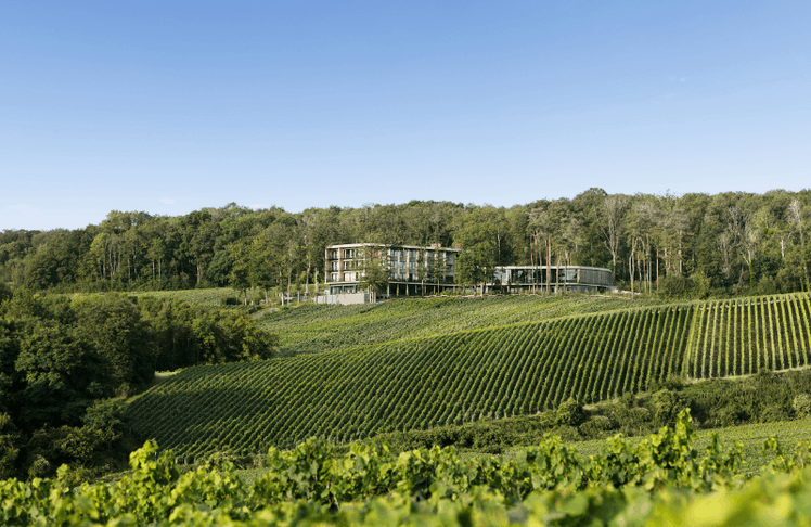 Das Loisium Wine & Spa Hotel in der Champagne feiert heuer zweijähriges Bestehen © LOISIUM | Werner Streitfelder