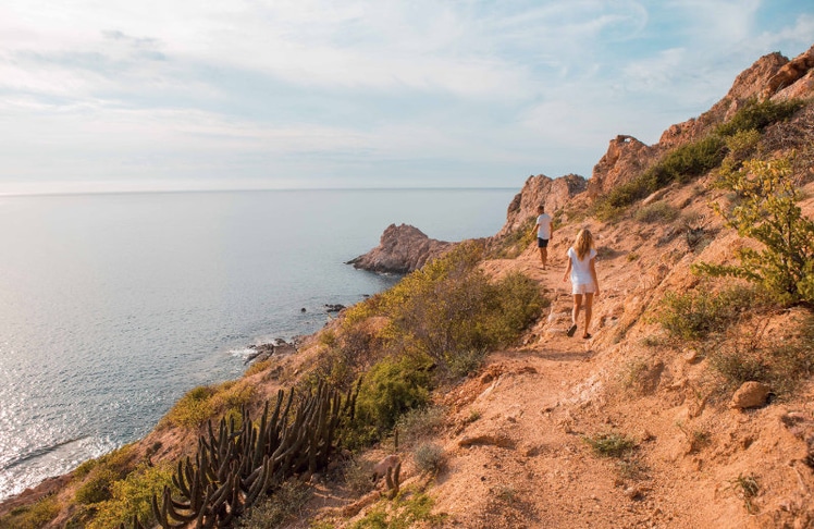 42 Prozent der Fläche von Baja California Sur sind als Naturschutzgebiert ausgewiesen
© Los Cabos Tourism Board