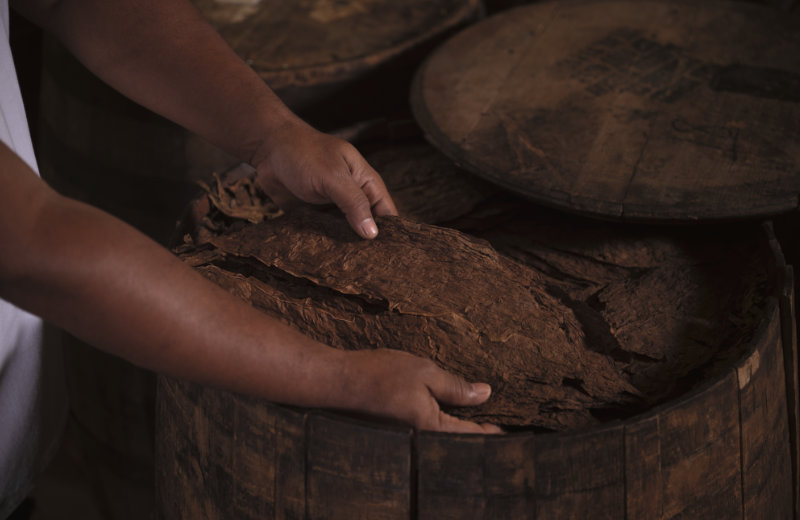 Escurio-10th-Anniversary_02_Oettinger-Davidoff-AG_2025